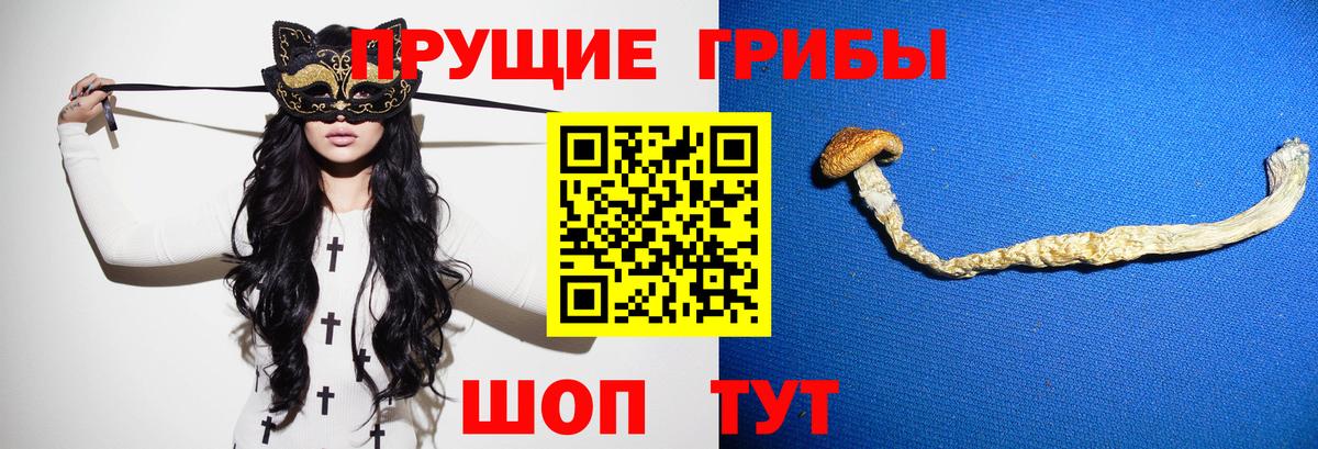 Псилоцибиновые грибы мицелий  Вход с VPN  Новошахтинск 