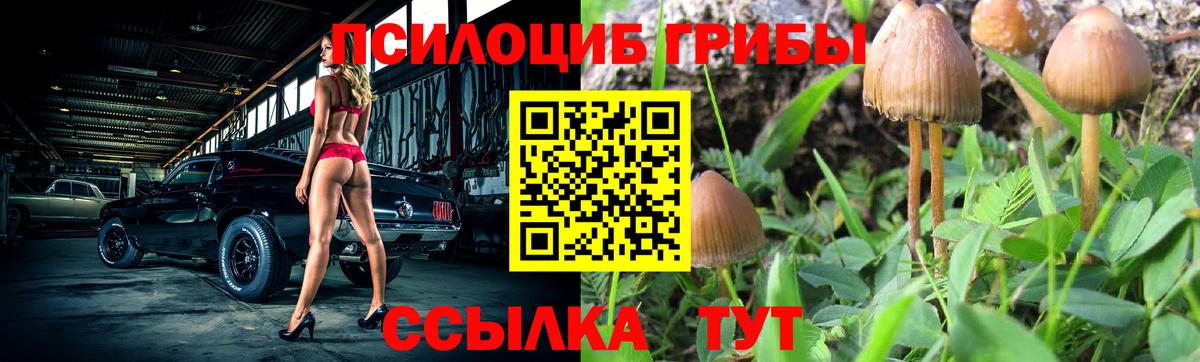 Псилоцибиновые грибы мухоморы Новошахтинск